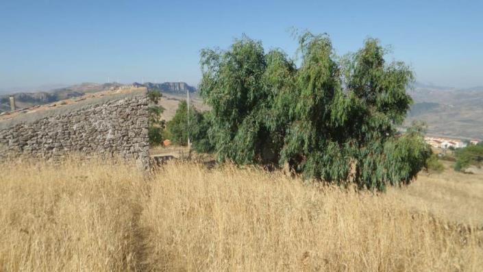 Image No.16-1 Bed Villa for sale