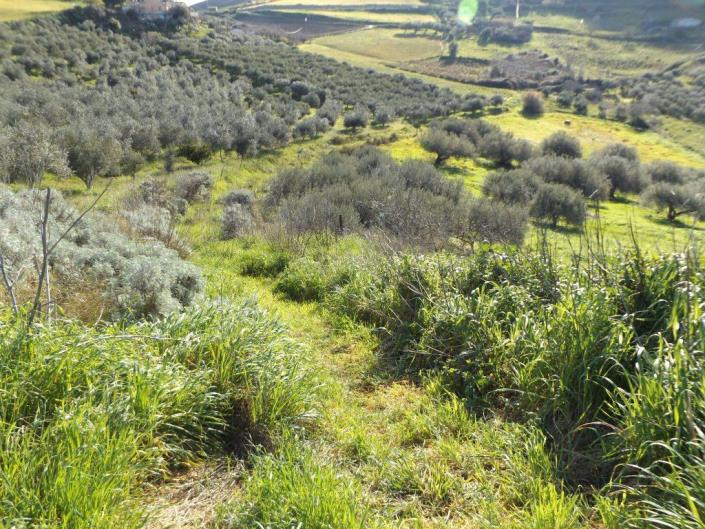 Image No.28-3 Bed Villa for sale