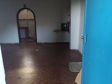 Di-Gesu-Giulia---Ci----1-