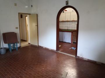 Di-Gesu-Giulia---Ci----2-