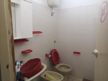 Di-Gesu-Giulia---Ci----5-