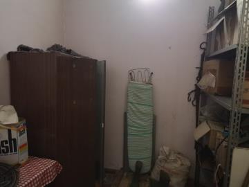 Di-Gesu-Giulia---Ci----7-