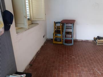 Di-Gesu-Giulia---Ci----8-