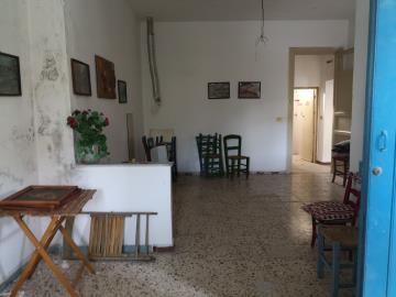 Di-Gesu-Giulia---Ci----14-