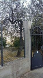 Lobue-Brancato---Ci---7-