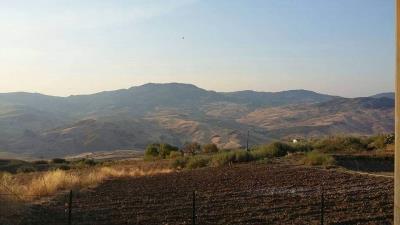 Lobue-Brancato---Ci---15-