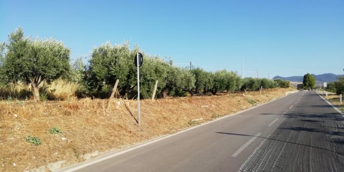 Image No.4-3 Bed Villa for sale