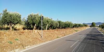 Dantoni-Sal---Ci---4-