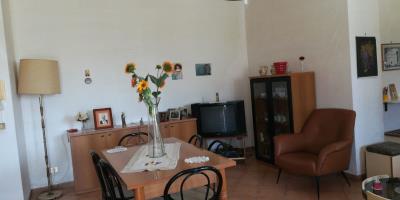 Dantoni-Sal---Ci---8-