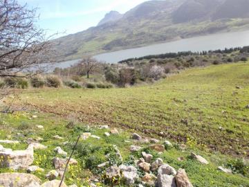 Santangelo-Vin---Co---4-