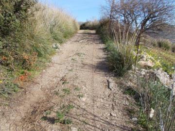 Santangelo-Vin---Co---5-