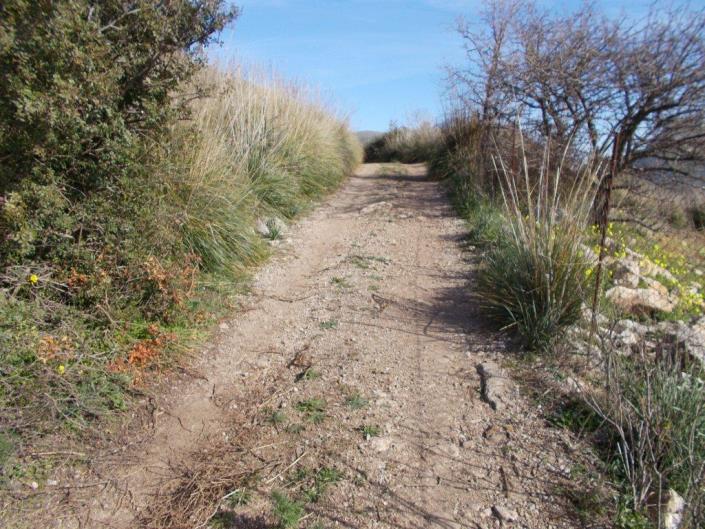 Image No.6-6 Bed Villa for sale