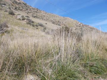 Santangelo-Vin---Co---7-