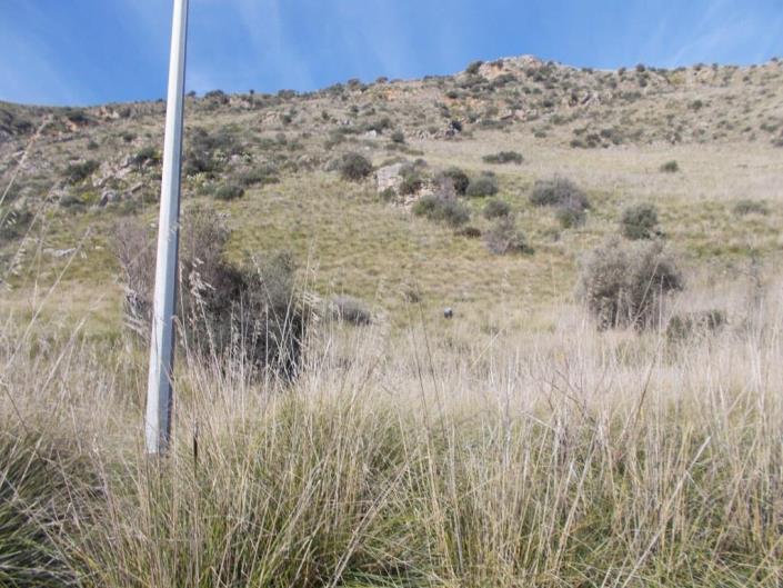 Image No.11-6 Bed Villa for sale