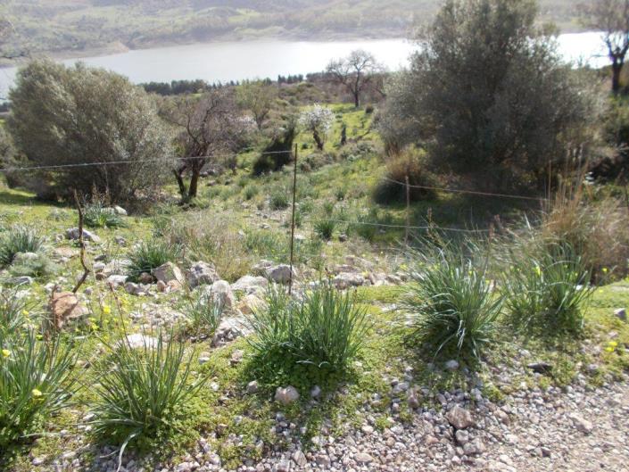 Image No.15-6 Bed Villa for sale