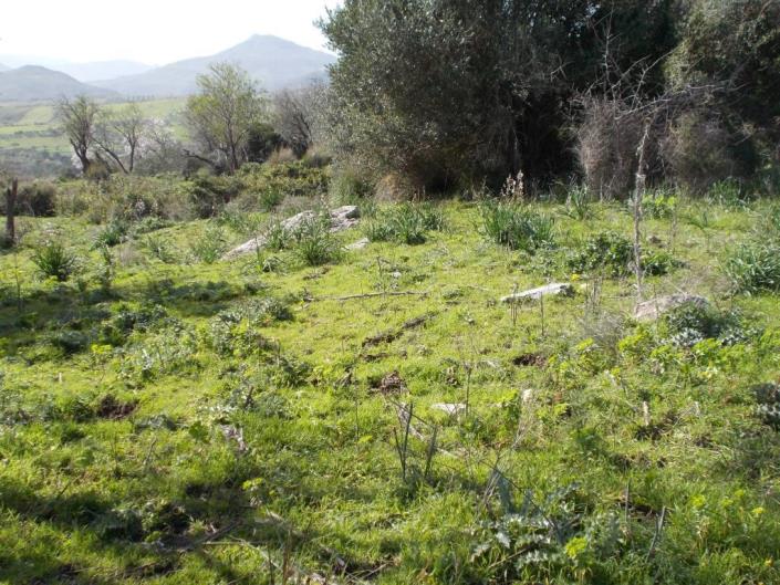 Image No.37-6 Bed Villa for sale