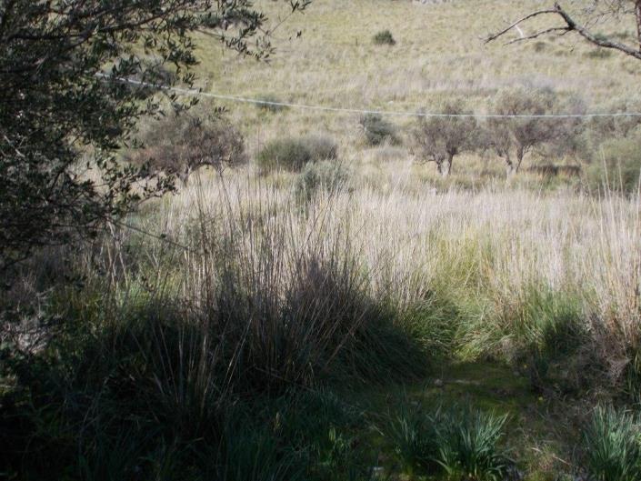 Image No.41-6 Bed Villa for sale