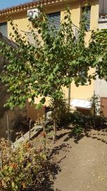 Cerniglia-Nuc---Ci---2-