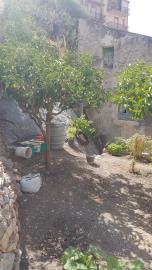 Cerniglia-Nuc---Ci---1-