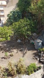 Cerniglia-Nuc---Ci---8-