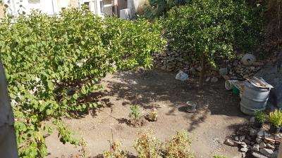 Cerniglia-Nuc---Ci---9-