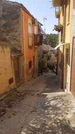 Cerniglia-Nuc---Ci---10-