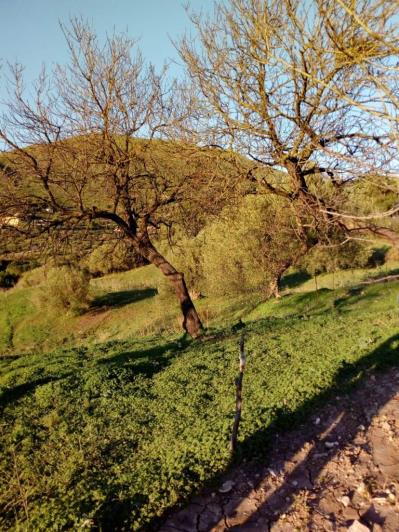 Image No.2-5 Bed Land for sale