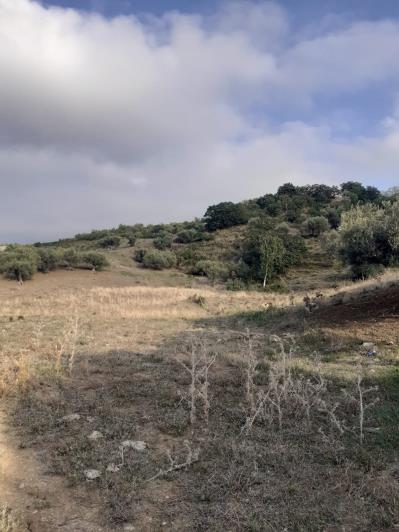 Image No.3-5 Bed Land for sale