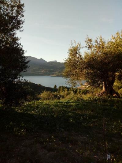 Image No.10-5 Bed Land for sale