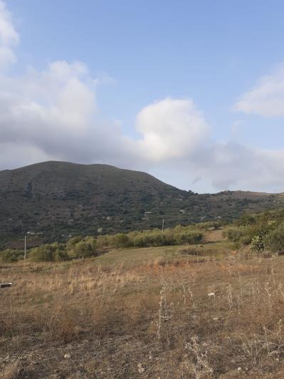 Image No.11-5 Bed Land for sale