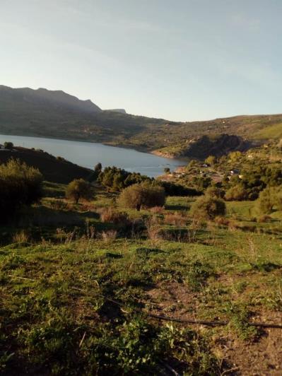 Image No.14-5 Bed Land for sale