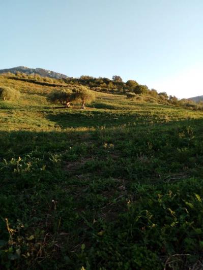 Image No.16-5 Bed Land for sale