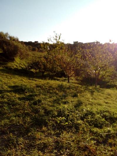 Image No.26-5 Bed Land for sale