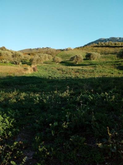 Image No.30-5 Bed Land for sale