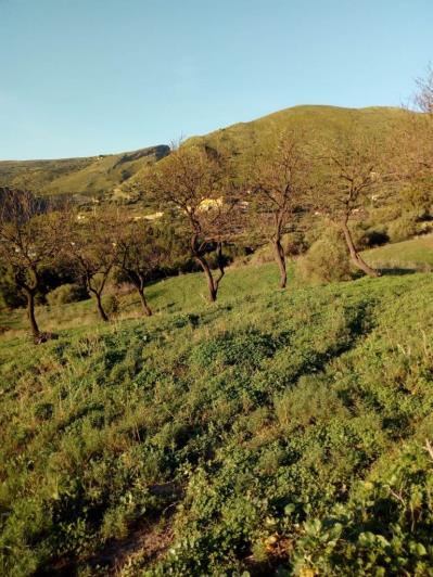 Image No.36-5 Bed Land for sale