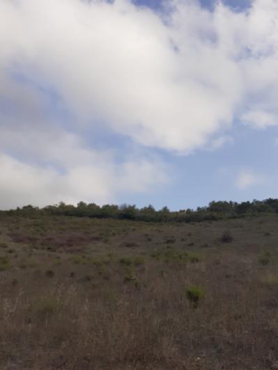 Image No.43-5 Bed Land for sale