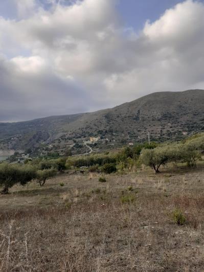 Image No.45-5 Bed Land for sale