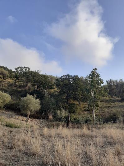 Image No.47-5 Bed Land for sale