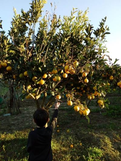 Image No.48-5 Bed Land for sale