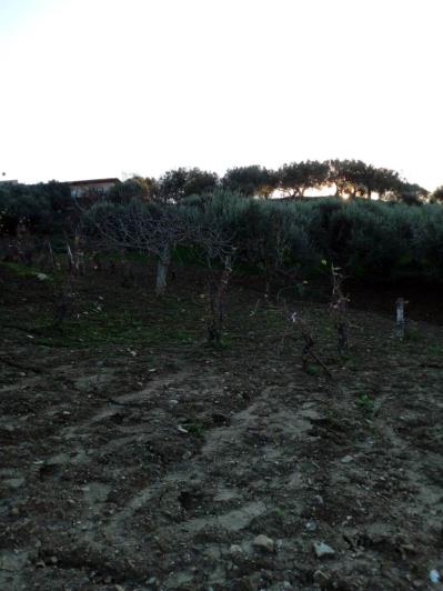 Image No.54-5 Bed Land for sale