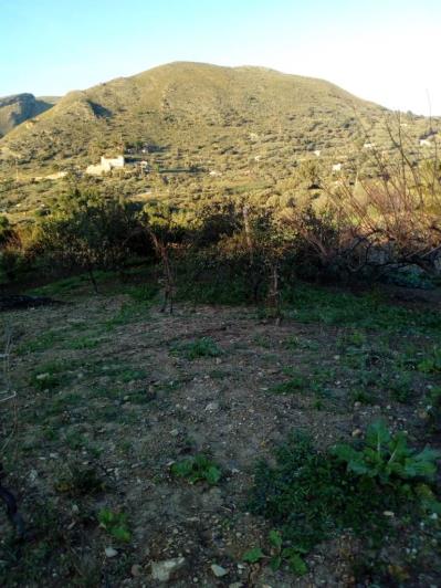 Image No.60-5 Bed Land for sale