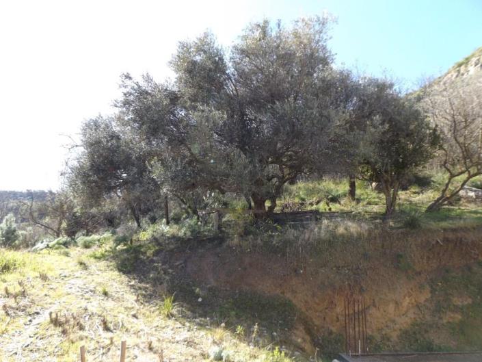 Image No.20-2 Bed Villa for sale