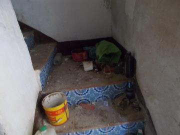 Rotolo-Seb-Town---Co---15-