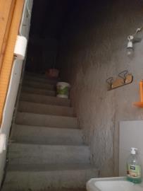 Firantello-Giov----Ci--7-