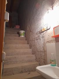 Firantello-Giov----Ci--9-