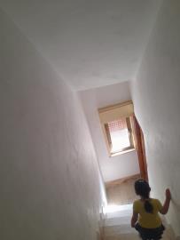 Firantello-Giov----Ci--12-