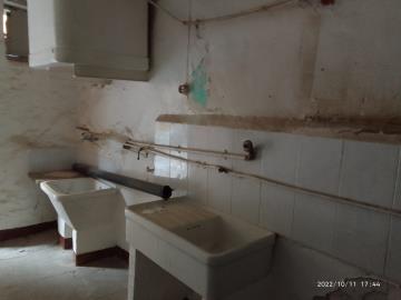 Catalano-Nic---Ci---4-