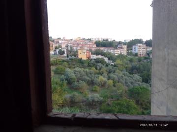 Catalano-Nic---Ci---6-