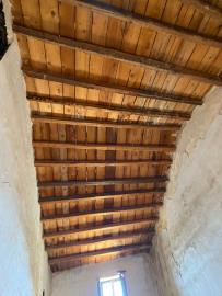 Cecala-Filippo---Ci--8-