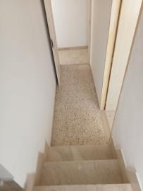 Dresher-Pan---Ci---5-